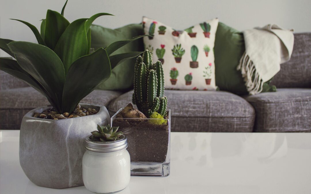 How to Create a Cohesive Home Decor Style Room by Room