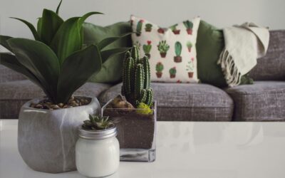 How to Create a Cohesive Home Decor Style Room by Room